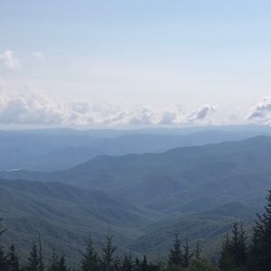 Bundle bundle bundle!!